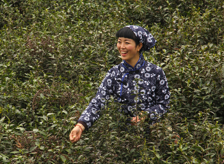 最新更新
